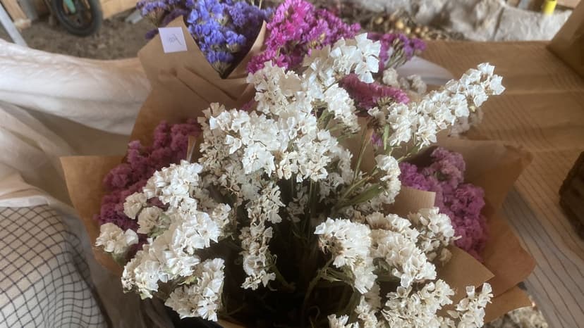blomma